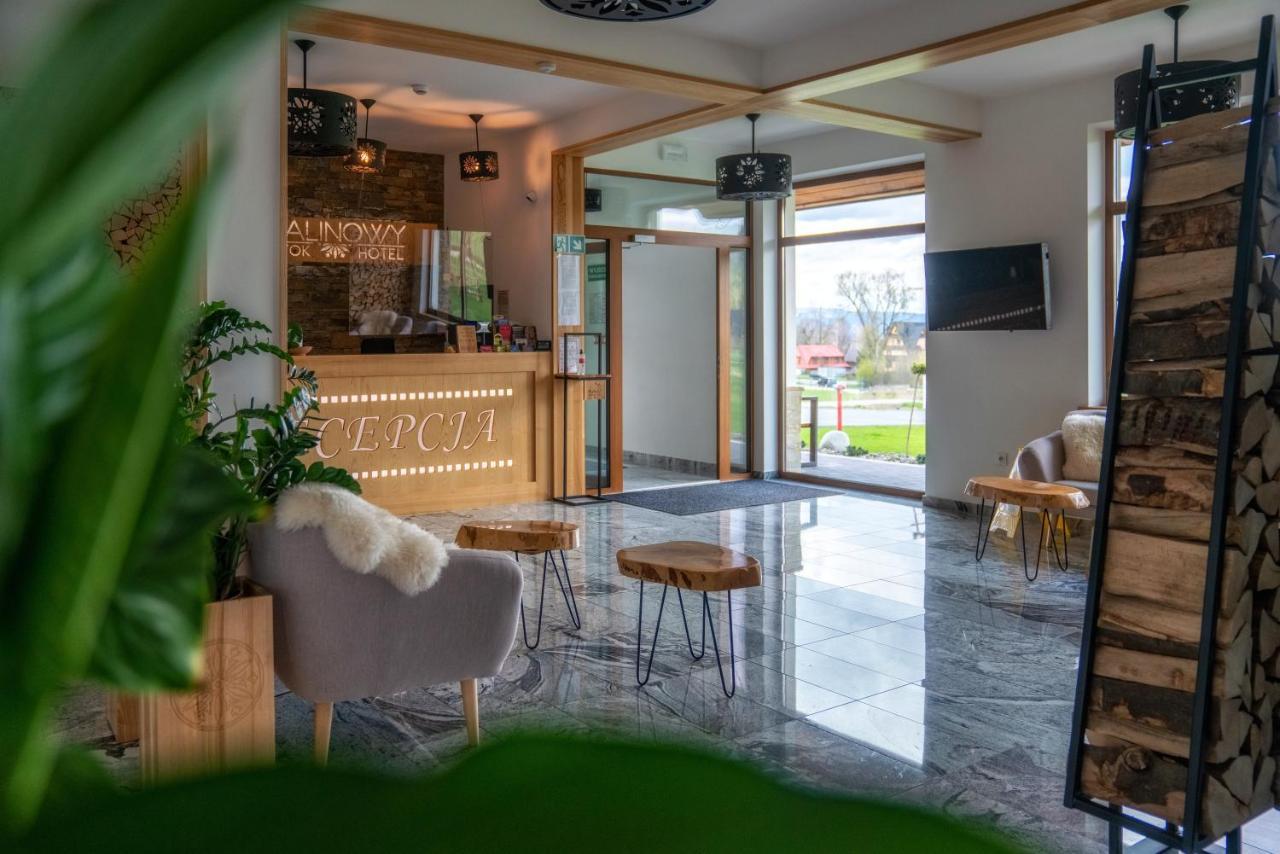 Malinowy Potok Hotel Bialka Tatrzanska Exterior foto